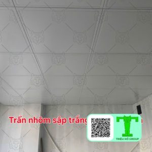 Trần Nhôm Thả Vĩnh Long “Mua Ngay”